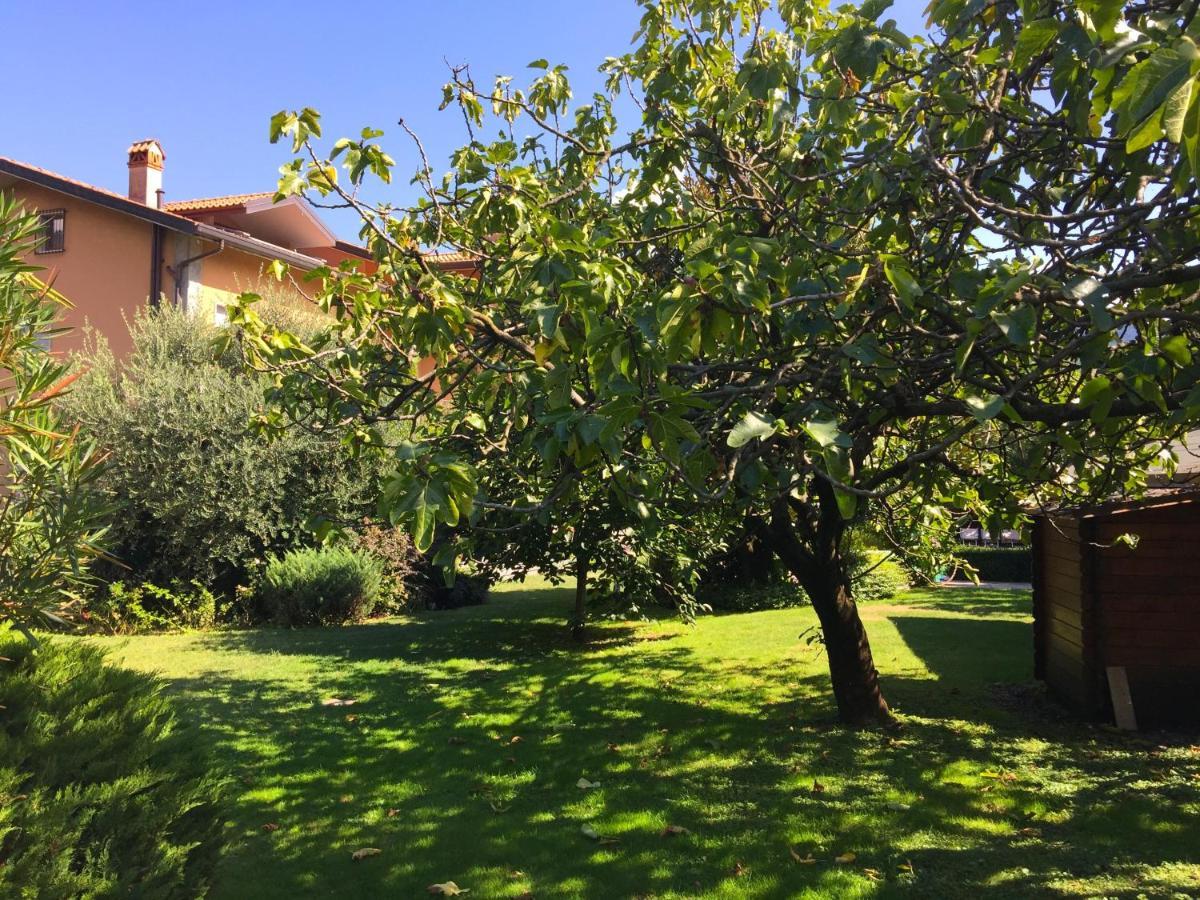 Abies Lago Di Como Dongo Exterior photo