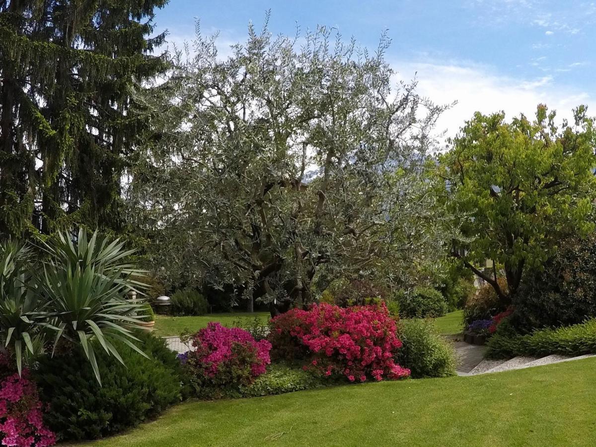 Abies Lago Di Como Dongo Exterior photo